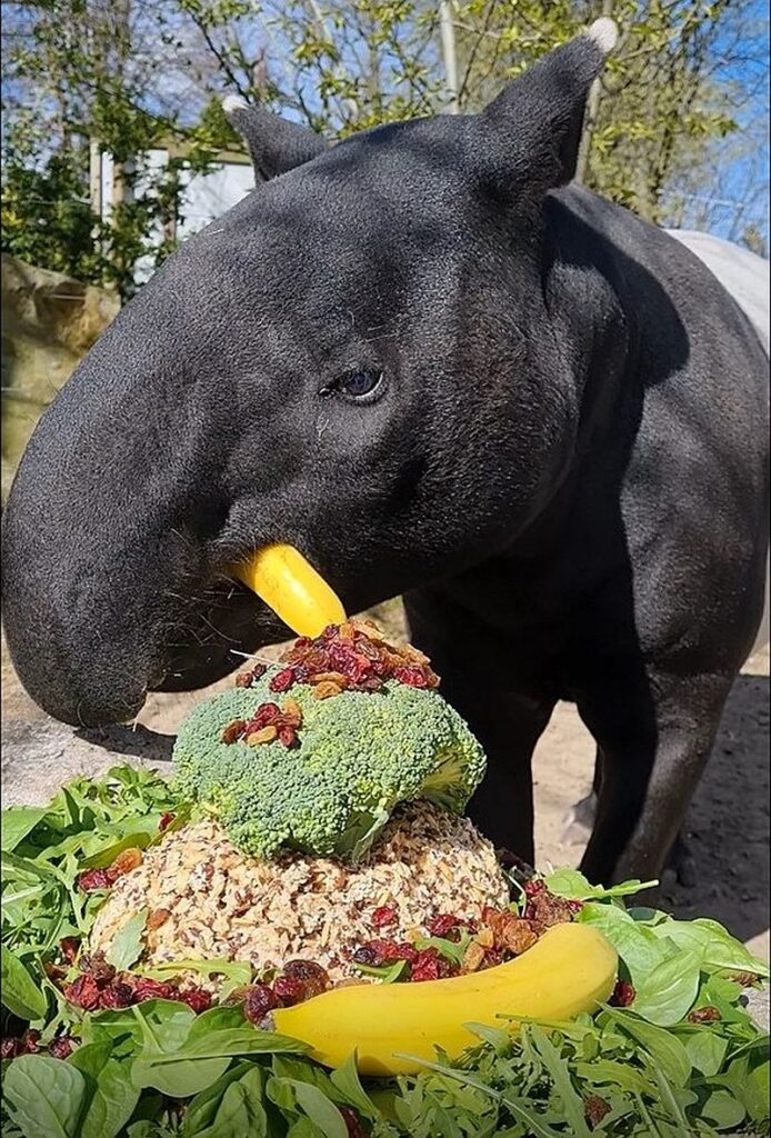 Zoo Płock - atrakcja dla całej rodziny. Pokazy karmienia zwierząt, fot. zoo.plock.pl