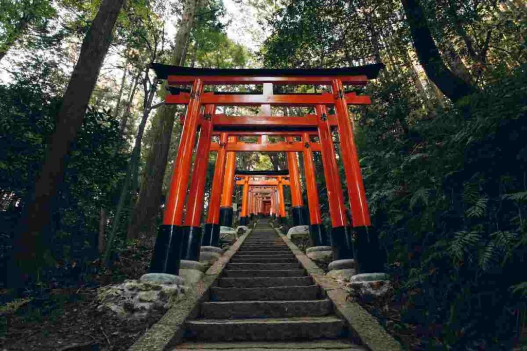 Fushimi inari taisha Źródło: www.artofit.org