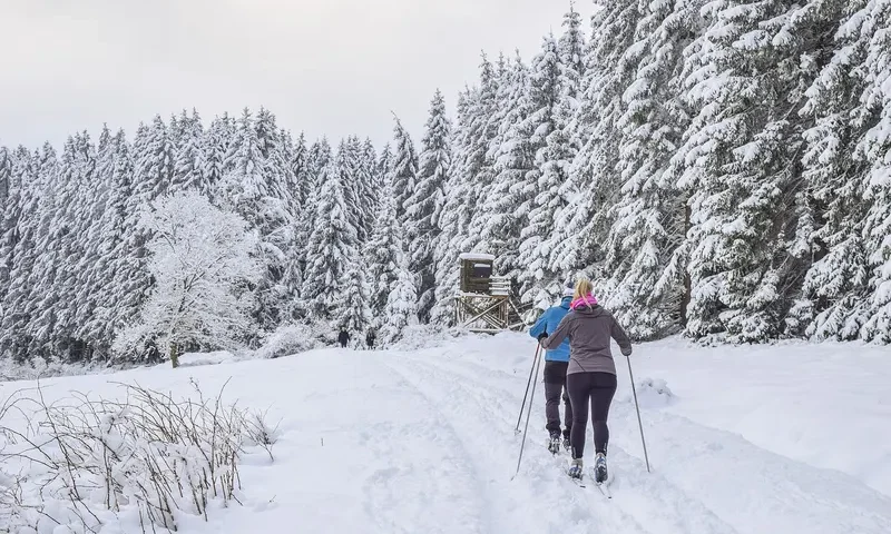 Gdzie na narty w Polsce? 5 pomysłów na wyjazd