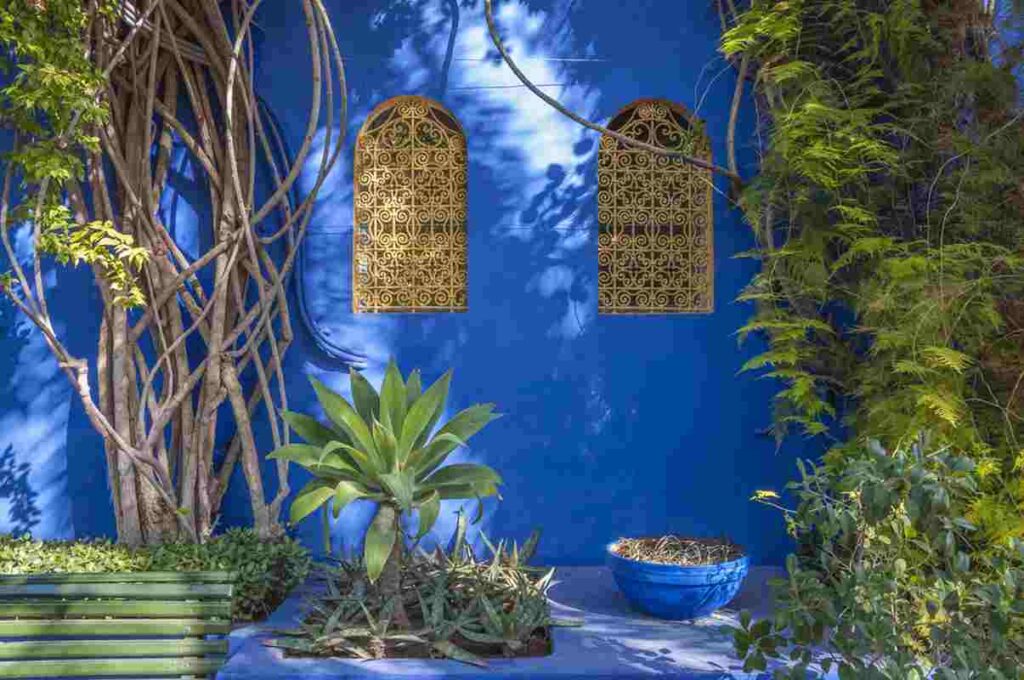 Malowniczy ogród Jardin Majorelle Źródło: shutterstock.com