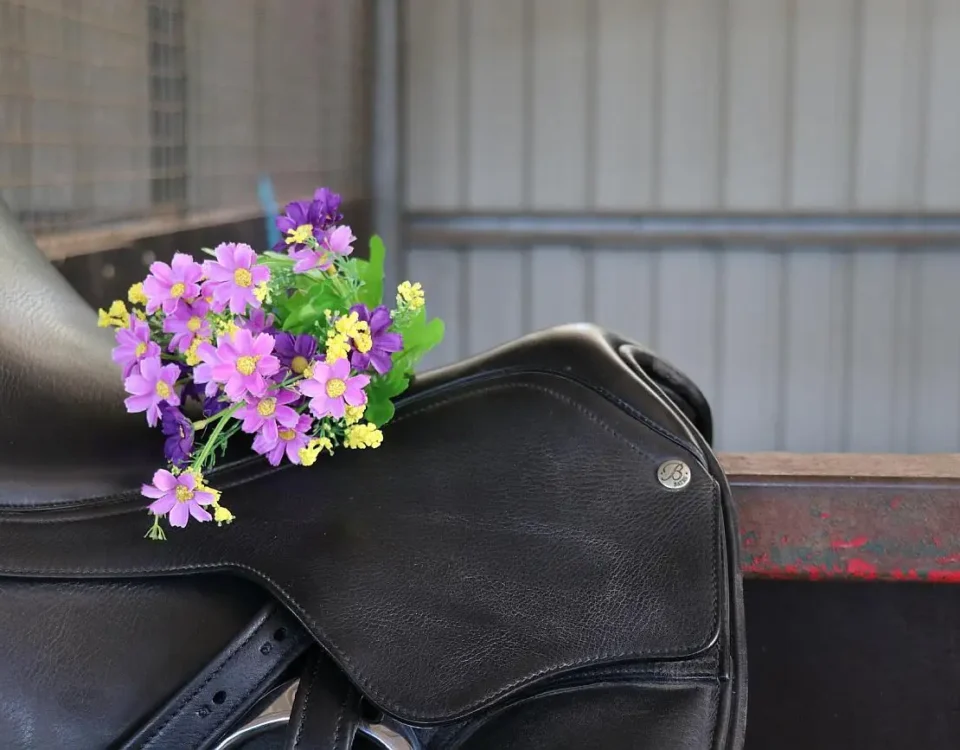 hobby horse inspiracja