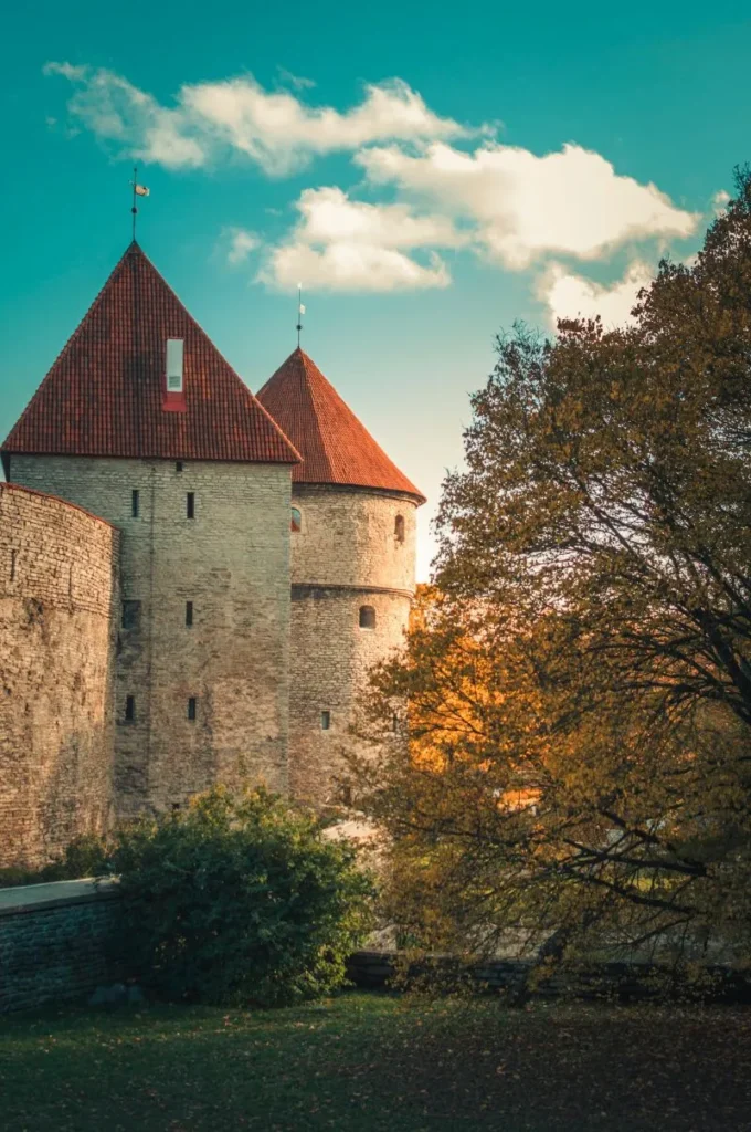 Widok na Tallinn