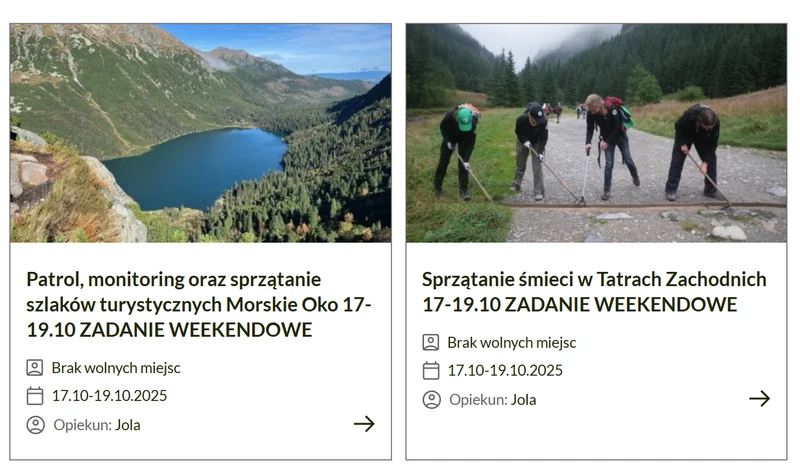 przykladowe zadania wolontariat tpn